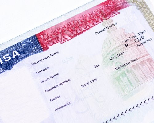 How Can You Choose the Right U.S. Visa for Your Situation?